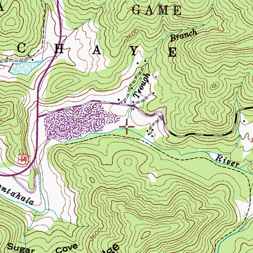 Topographic Map of Trough Branch, NC