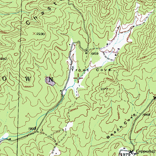 Topographic Map of Trout Cove, NC