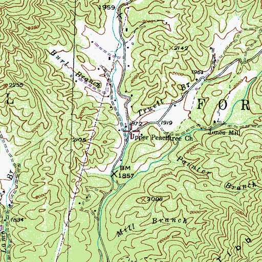 Topographic Map of Truett Branch, NC