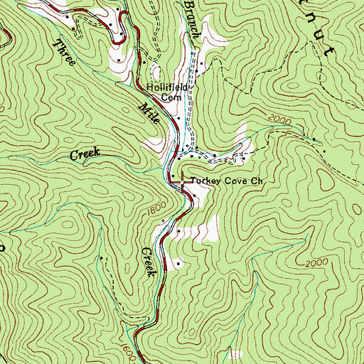 Topographic Map of Turkey Cove Church, NC