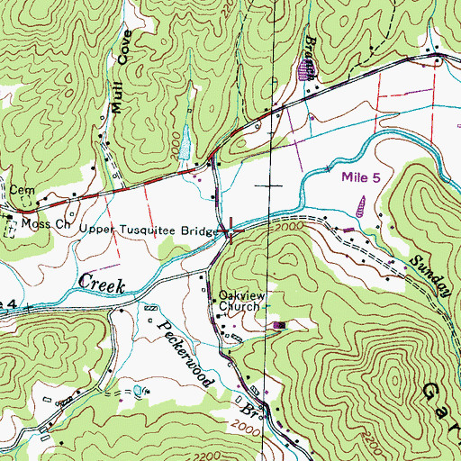 Topographic Map of Upper Tusquitee Bridge, NC