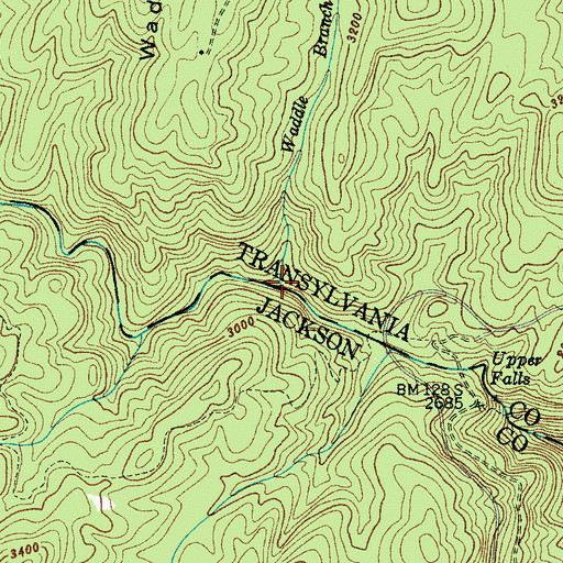 Topographic Map of Waddle Branch, NC