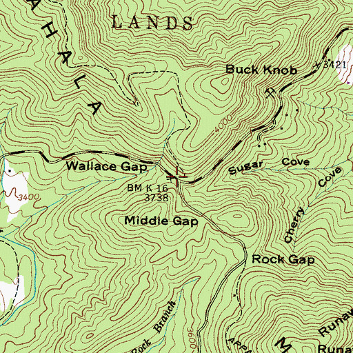 Topographic Map of Wallace Gap, NC