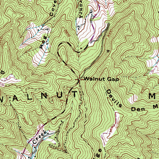 Topographic Map of Walnut Gap, NC