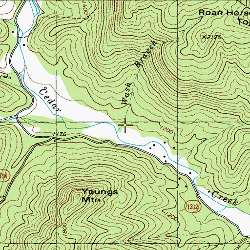 Topographic Map of Wash Branch, NC