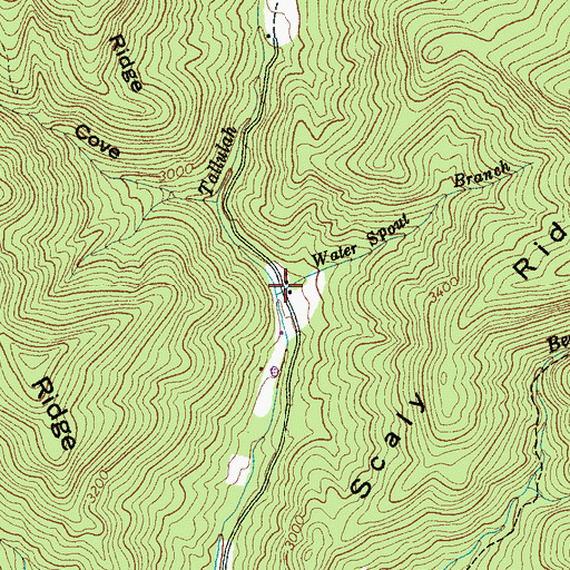 Topographic Map of Water Spout Branch, NC