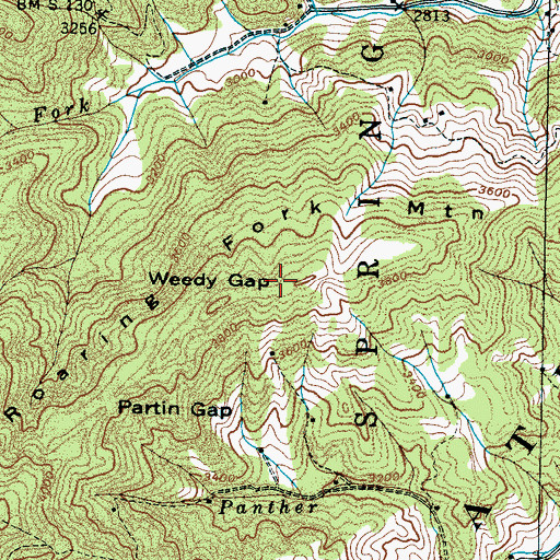 Topographic Map of Weedy Gap, NC