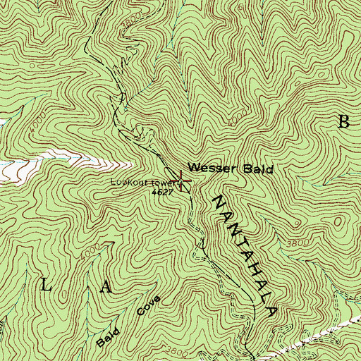 Topographic Map of Wesser Bald, NC