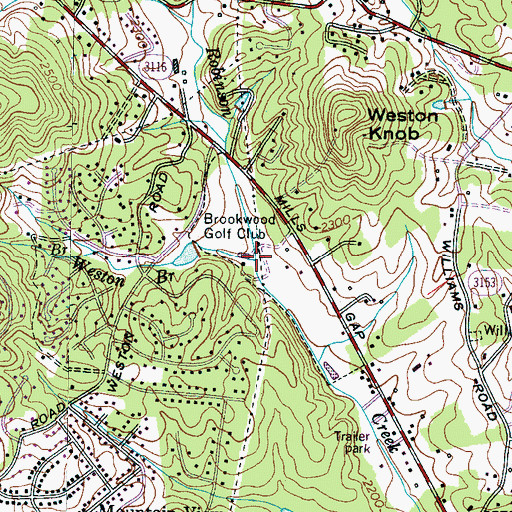 Topographic Map of Weston Branch, NC