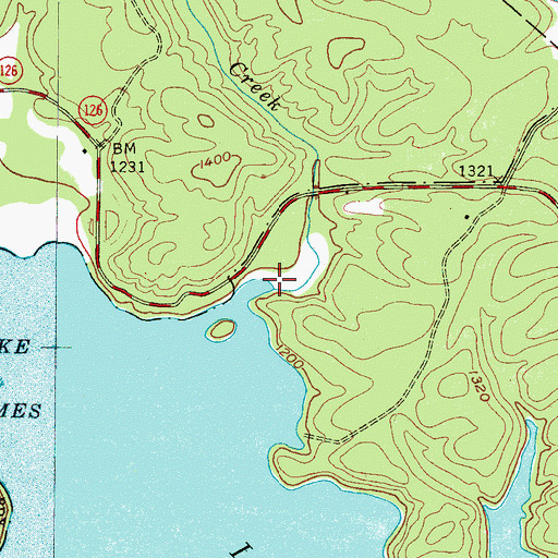 Topographic Map of White Creek, NC