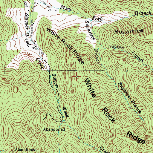 Topographic Map of White Rock Ridge, NC