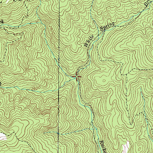 Topographic Map of White Spring Branch, NC