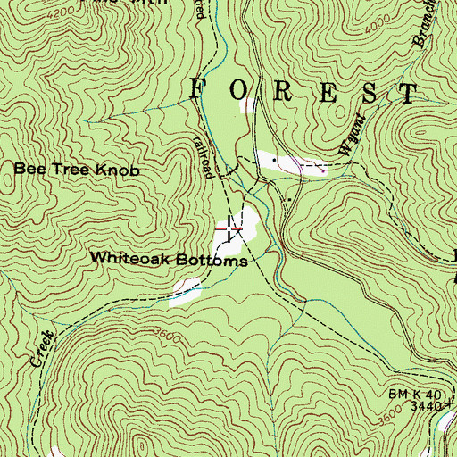 Topographic Map of Whiteoak Bottoms, NC