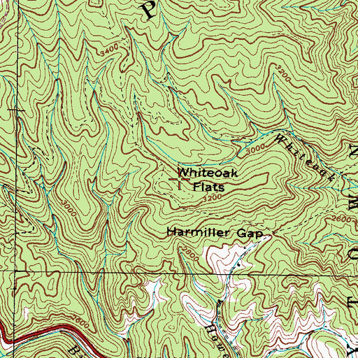 Topographic Map of Whiteoak Flats, NC