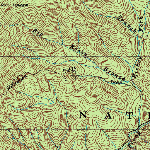 Topographic Map of Whiteoak Flats Trail, NC