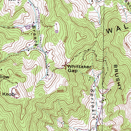 Topographic Map of Whittaker Gap, NC