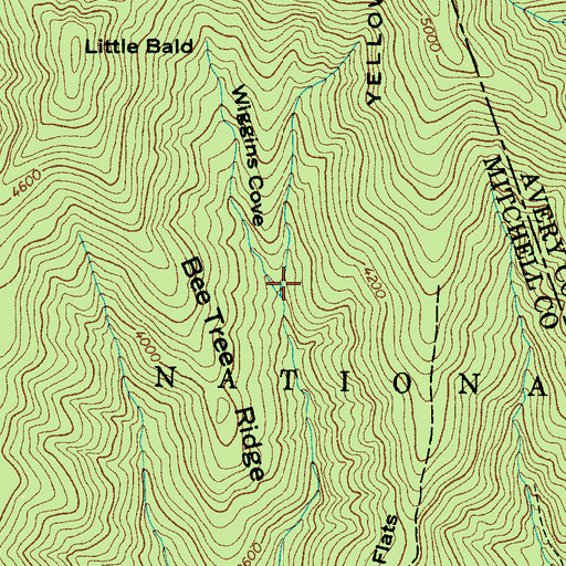 Topographic Map of Wiggins Cove, NC