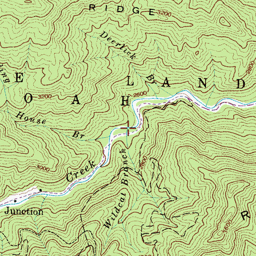 Topographic Map of Wilcat Branch, NC