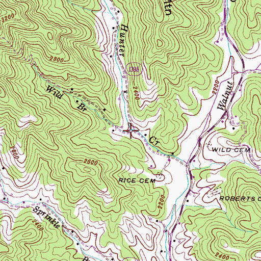 Topographic Map of Wild Branch, NC