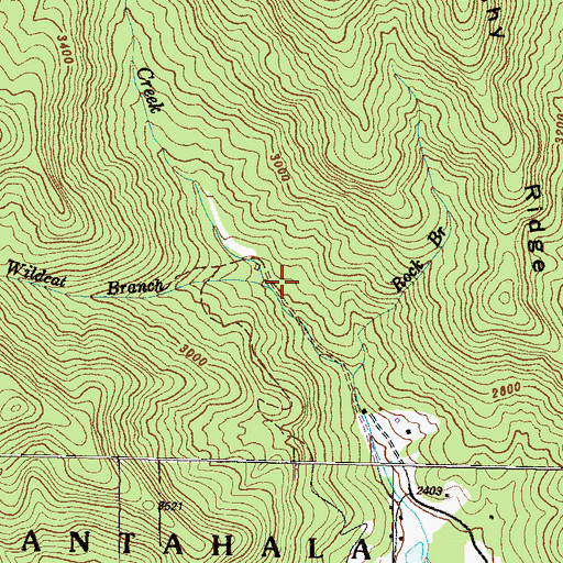 Topographic Map of Wildcat Branch, NC