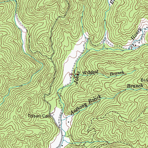 Topographic Map of Wildcat Branch, NC