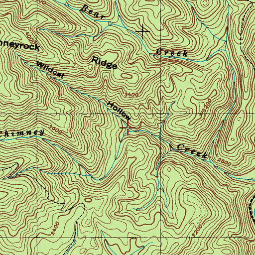 Topographic Map of Wildcat Hollow, NC
