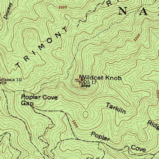 Topographic Map of Wildcat Knob, NC