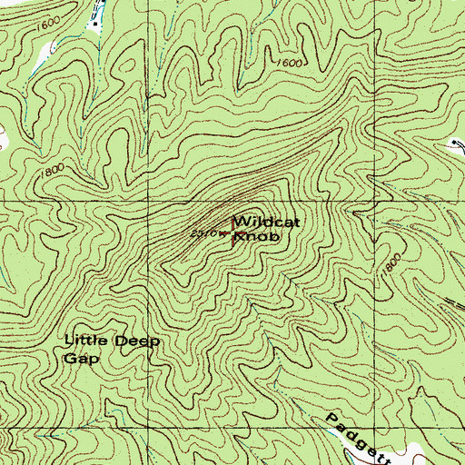 Topographic Map of Wildcat Knob, NC