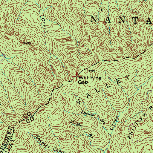 Topographic Map of Will King Gap, NC