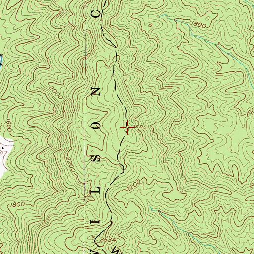 Topographic Map of Wilson Ridge, NC