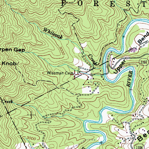 Topographic Map of Wiseman Cemetery, NC