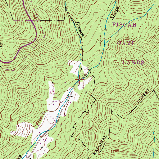 Topographic Map of Wolf Branch, NC