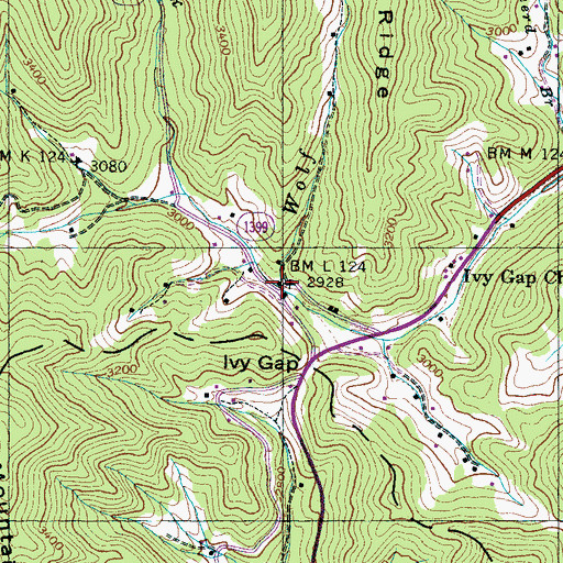 Topographic Map of Wolf Branch, NC
