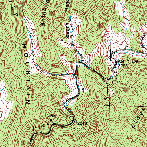 Topographic Map of Wolf Branch, NC