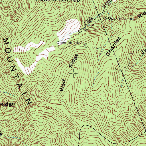 Topographic Map of Wolf Ridge, NC