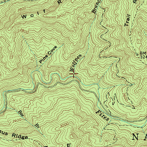 Topographic Map of Wolfpen Branch, NC