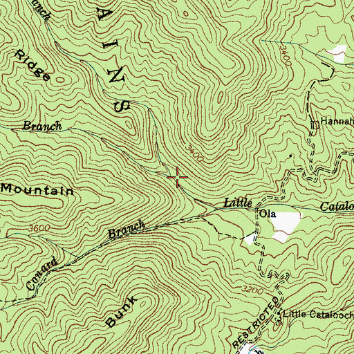 Topographic Map of Woody Branch, NC