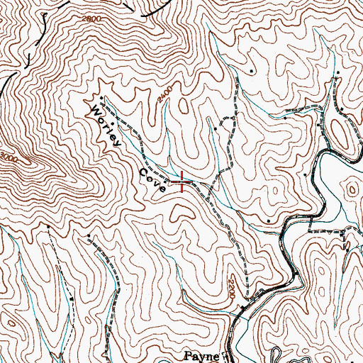 Topographic Map of Worley Cove, NC