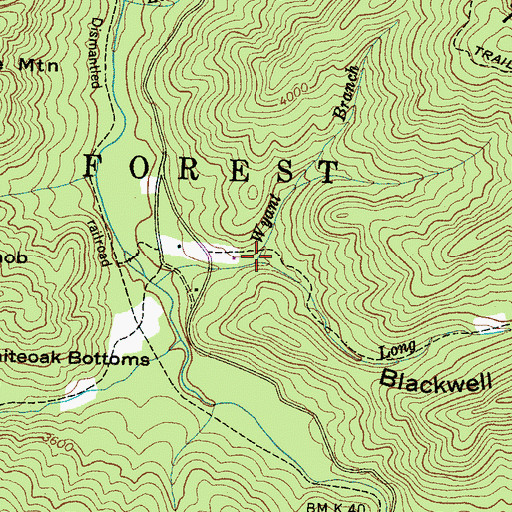 Topographic Map of Wyant Branch, NC