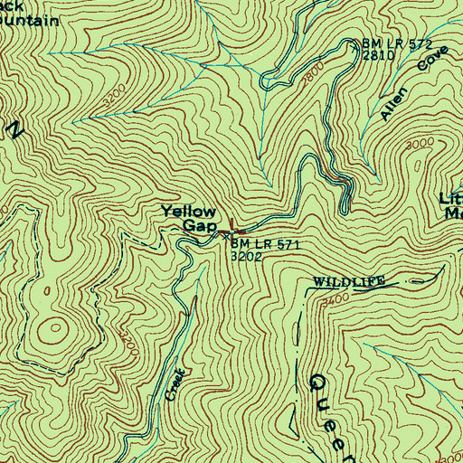Topographic Map of Yellow Gap, NC