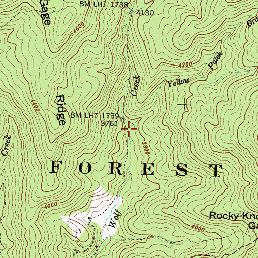 Topographic Map of Yellow Patch Branch, NC