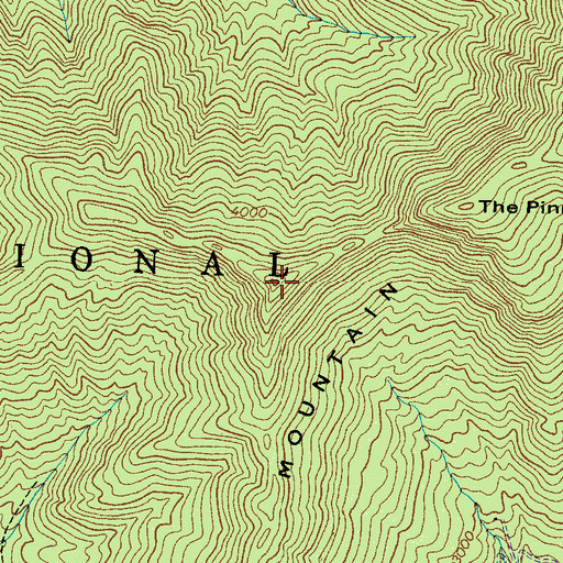 Topographic Map of The Pinnacle, NC