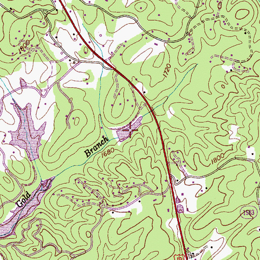 Topographic Map of Brewer Lake, NC