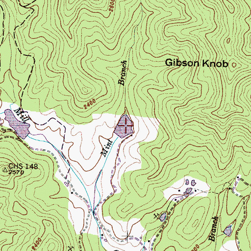 Topographic Map of Mint Lake, NC
