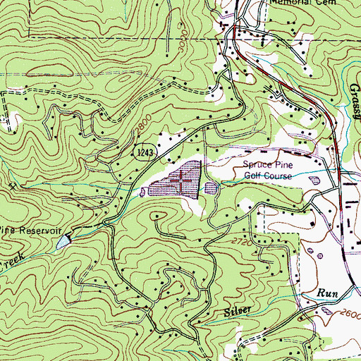 Topographic Map of Swiss Pine Lake, NC