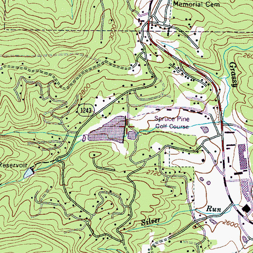 Topographic Map of Swiss Pine Lake Dam, NC