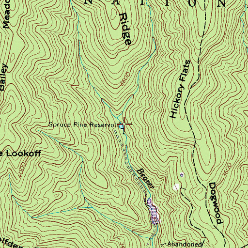 Topographic Map of Spruce Pine Reservoir, NC