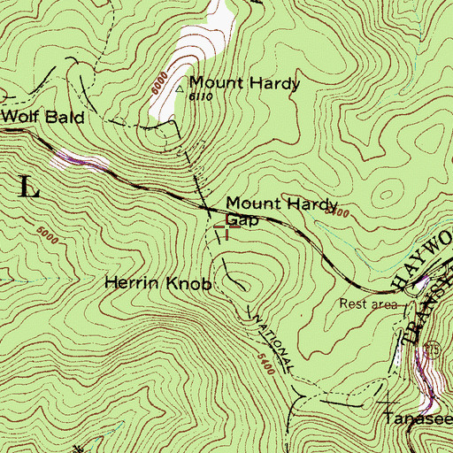 Topographic Map of Mount Hardy Gap, NC