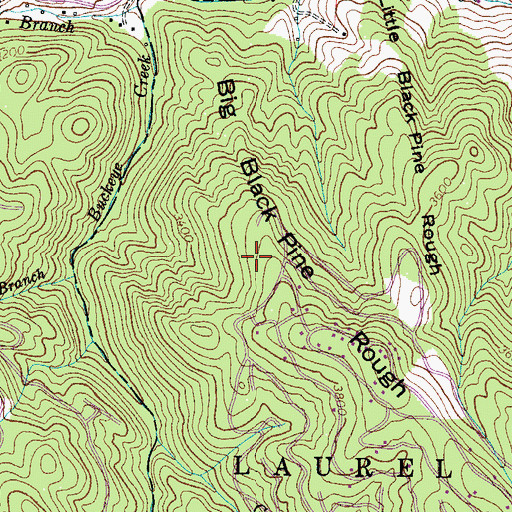Topographic Map of Big Black Pine Rough, NC