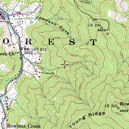 Topographic Map of Ray Mine, NC